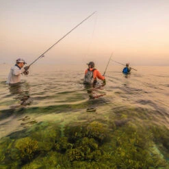 Patagonia River Salt Wading Boots -Aero Fly Tackle 231 patagonia river salt wading boots feather grey 09