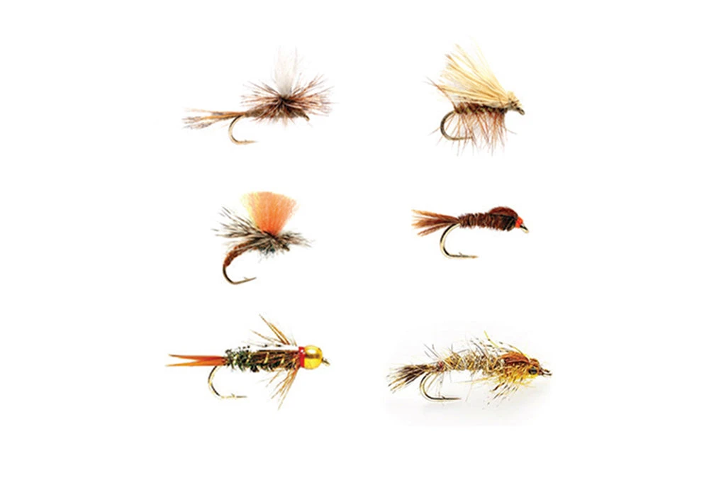 All Around Trout Selection 3 All Around Trout Selection