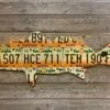 Cody Richardson Art - Georgia Redfish License Plate Art -Aero Fly Tackle 69D773AE 6A74 4794 AF70 2685B0D69D08