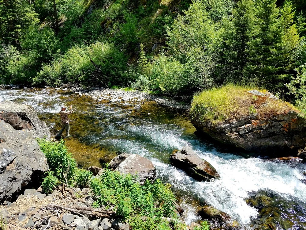 Dry Fly Strategies - Paul Weamer 5 Dry Fly Strategies - Paul Weamer - Image 3