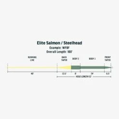 Rio Sage Elite SalmonSteelhead Fly Line 7 Rio Sage Elite SalmonSteelhead Fly Line -Aero Fly Tackle FW Elite Salmon Steelhead fly line taper