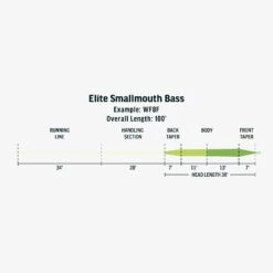 RIO Elite Smallmouth Bass Fly Line 7 RIO Elite Smallmouth Bass Fly Line -Aero Fly Tackle FW Elite Smallmouth Bass fly line taper
