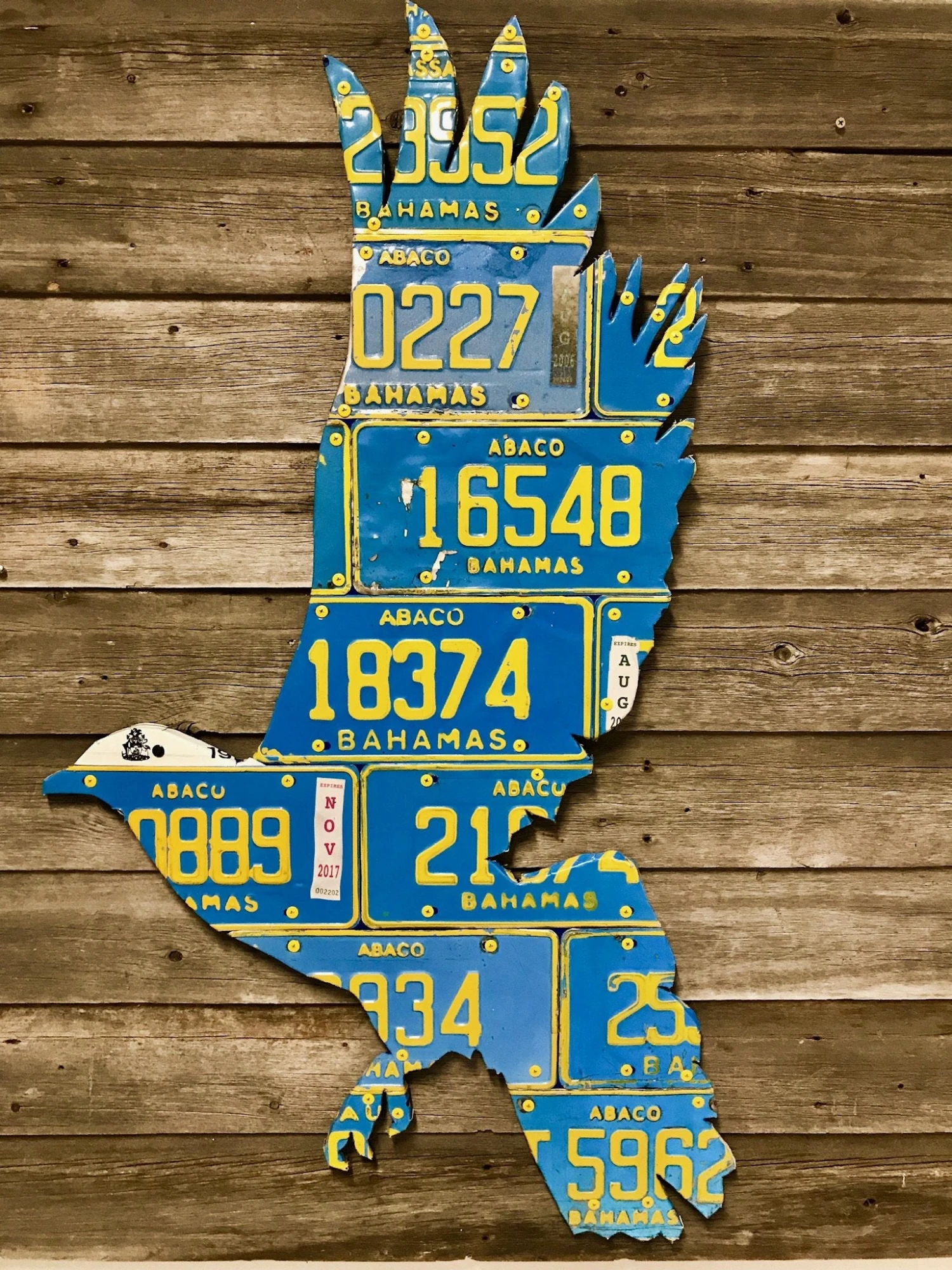 Cody Richardson Art - Bahamas White Crown Pigeon License Plate Art 3 Cody Richardson Art - Bahamas White Crown Pigeon License Plate Art