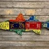 Cody Richardson Art - Antique Florida Snook License Plate Art -Aero Fly Tackle IMG 1076