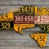 Cody Richardson Art - Antique North Carolina Largemouth Bass License Plate Art -Aero Fly Tackle IMG 1130