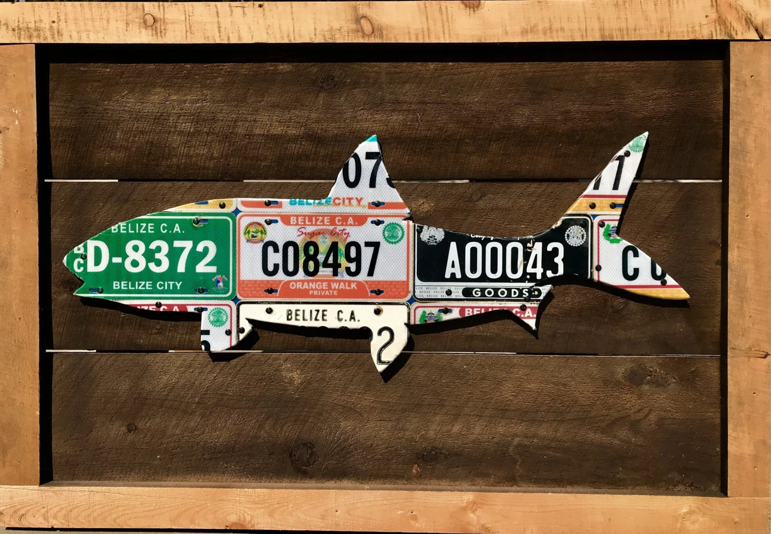Cody Richardson Art - Belize Bonefish License Plate Art 3 Cody Richardson Art - Belize Bonefish License Plate Art