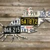 Cody Richardson Art - Texas Catfish License Plate Art -Aero Fly Tackle IMG 5783