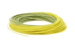 RIO PREMIER GOLD FLY LINE 9 RIO PREMIER GOLD FLY LINE -Aero Fly Tackle Premier RIOGold Coil Moss Gold 1024x1024 9949e5dd 51d1 4bc7 927b 37e68d8a6fba