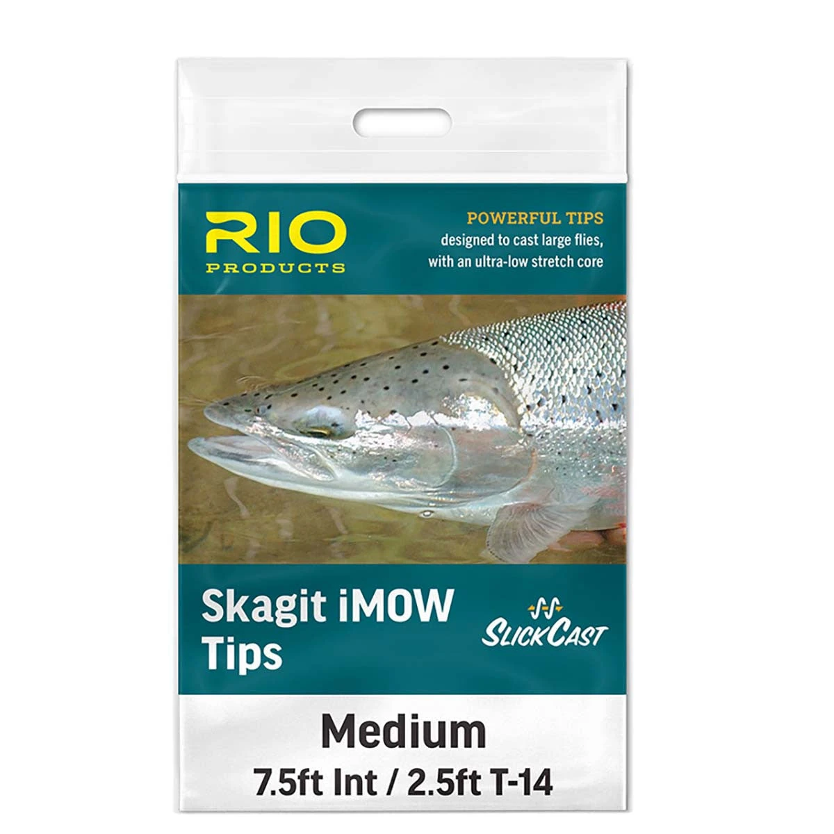 RIO SKAGIT IMOW HEAVY Tip FLY LINE 3 RIO SKAGIT IMOW HEAVY Tip FLY LINE