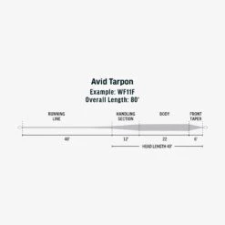 RIO Avid Tarpon -Aero Fly Tackle SW Avid Tarpon fly line taper
