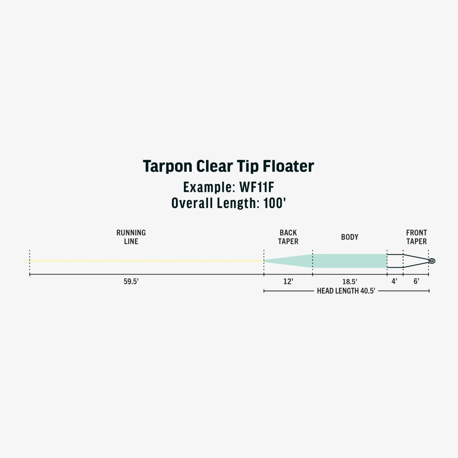 RIO PREMIER TARPON CLEAR TIP FLOATER - Image 3