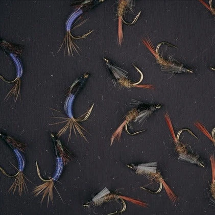 UMPQUA UPG FOAM DAYTRIPPER LARGE RED FLY BOX 6 UMPQUA UPG FOAM DAYTRIPPER LARGE RED FLY BOX - Image 4