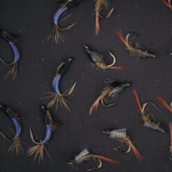 UMPQUA UPG FOAM WATERPROOF DAYTRIPPER MEDIUM FLY BOX -Aero Fly Tackle UFM04778 70904.1681234321