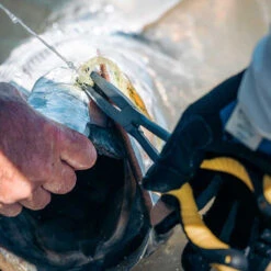 Loon Outdoors Loon Apex Needle Nose Plier -Aero Fly Tackle apex needlenose pliers 2 1000x 6819d4f7 0397 498a 8d60 442be444e783