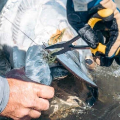 Loon Outdoors Loon Apex Needle Nose Plier -Aero Fly Tackle apex needlenose pliers 4 1000x 3778a51b 7c68 4565 b19b 54f94f32f667