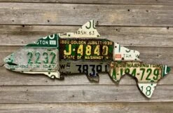 Cody Richardson Art - Washington State Antique Steelhead License Plate Art