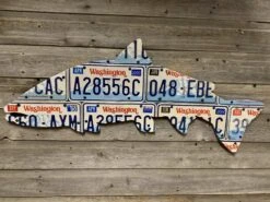 Cody Richardson Art - Washington Steelhead License Plate Art
