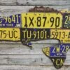 Cody Richardson Art - New York Largemouth Bass License Plate Art -Aero Fly Tackle image 2fec2553 eac6 4da4 8bc0 daa4f43674f1
